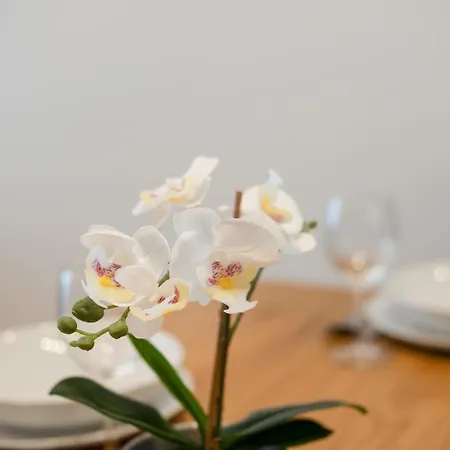 Apartment Myflat Wave Beach54 Siofok