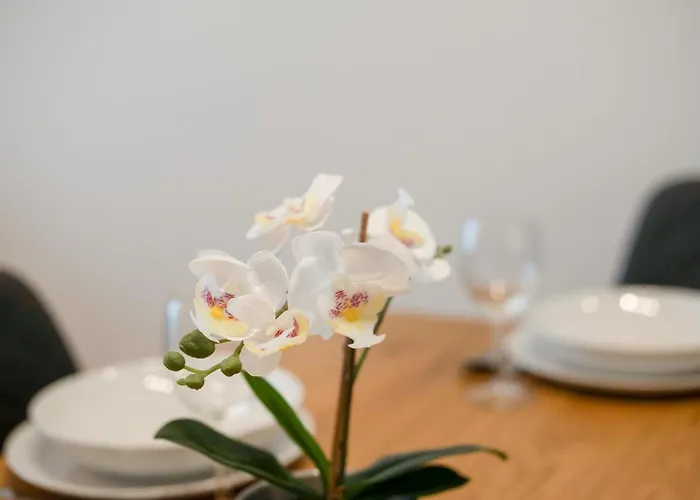 Apartment Myflat Wave Beach54 Siofok